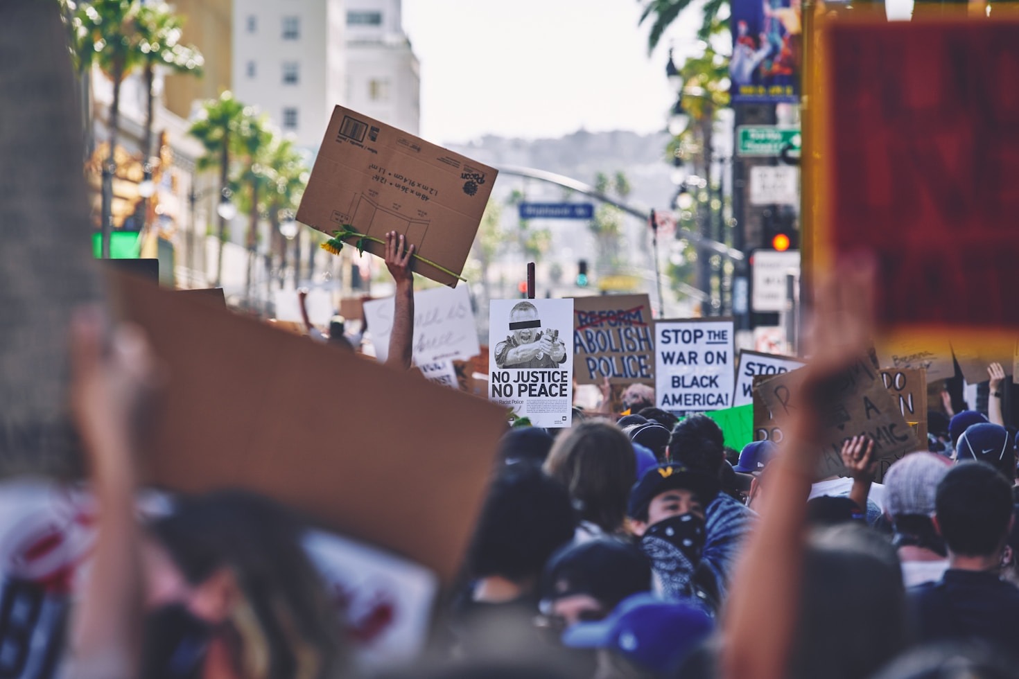 Understanding the Dynamics of Political Movements